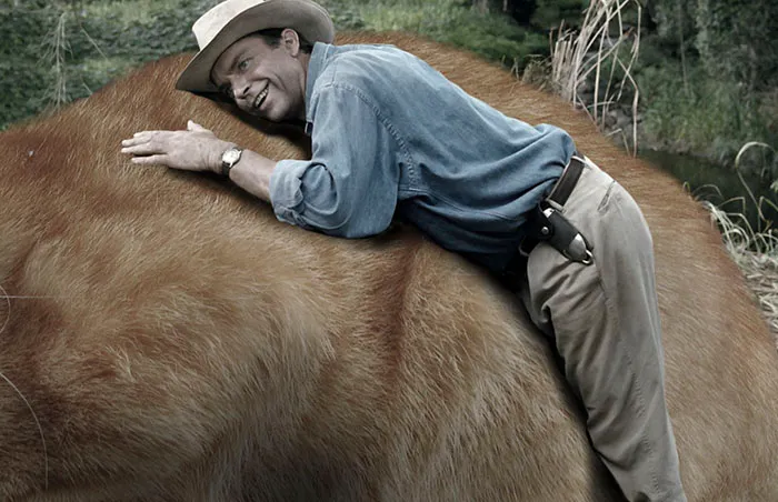 Someone Replaced Jurassic Park Dinosaurs With Cats, And It's Hilarious