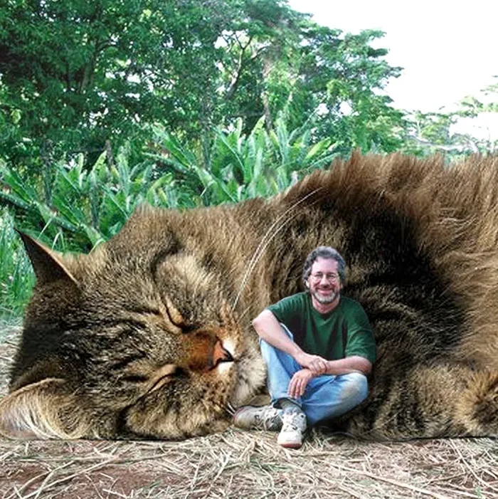 Someone Replaced Jurassic Park Dinosaurs With Cats, And It's Hilarious