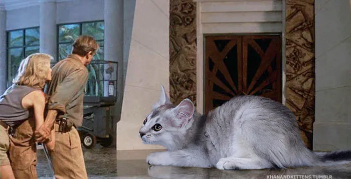 Someone Replaced Jurassic Park Dinosaurs With Cats, And It's Hilarious