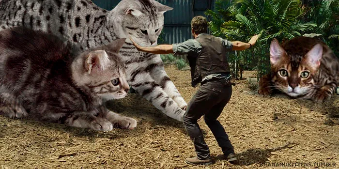 Someone Replaced Jurassic Park Dinosaurs With Cats, And It's Hilarious