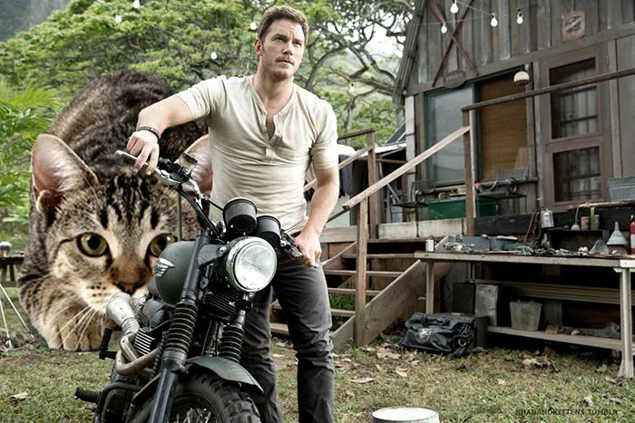 Someone Replaced Jurassic Park Dinosaurs With Cats, And It's Hilarious