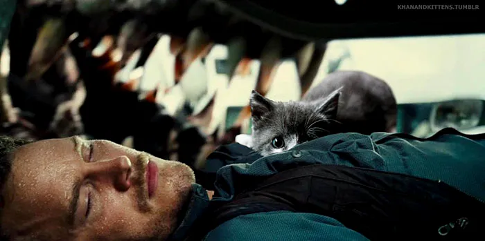 Someone Replaced Jurassic Park Dinosaurs With Cats, And It's Hilarious