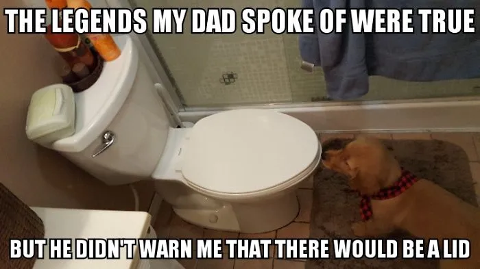 I Took Photos Of My 4-Month-Old Puppy & Added Captions To Them Of Her Thoughts