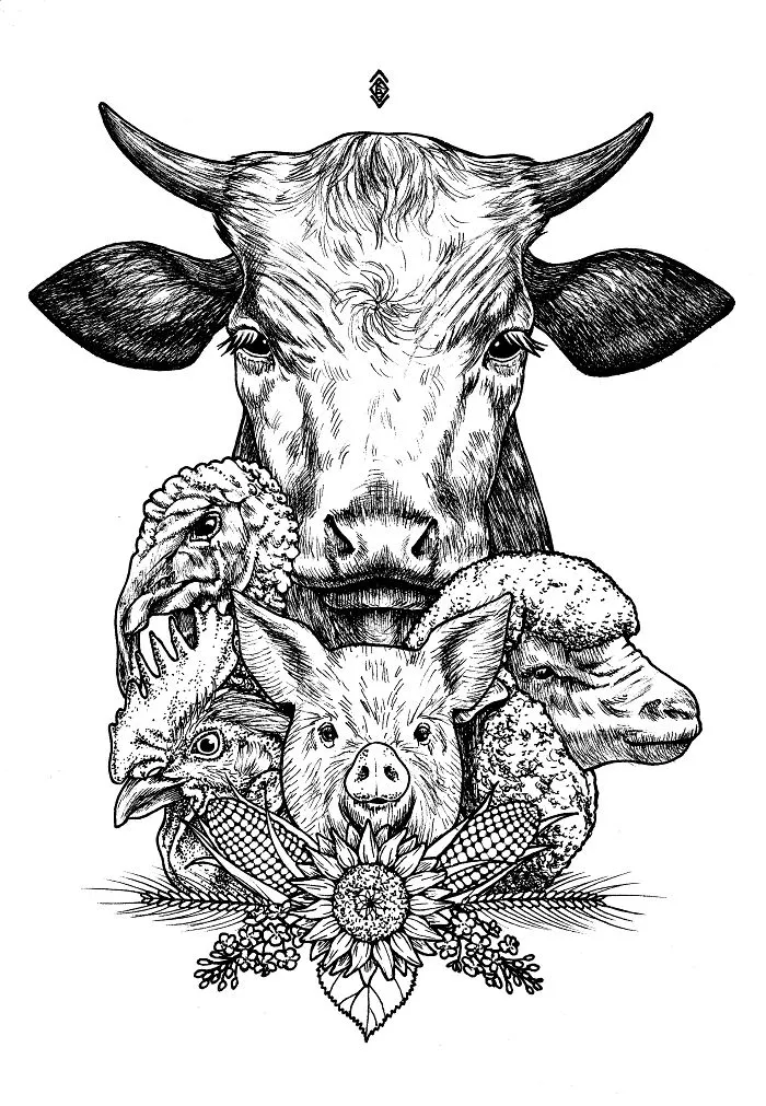 I Made These Animal Illustrations For My School, Now They Can't Get Enough Of Them