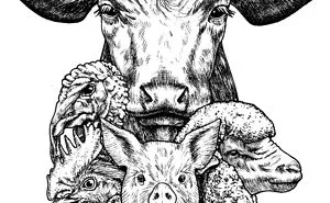 I Made These Animal Illustrations For My School, Now They Can't Get Enough Of Them