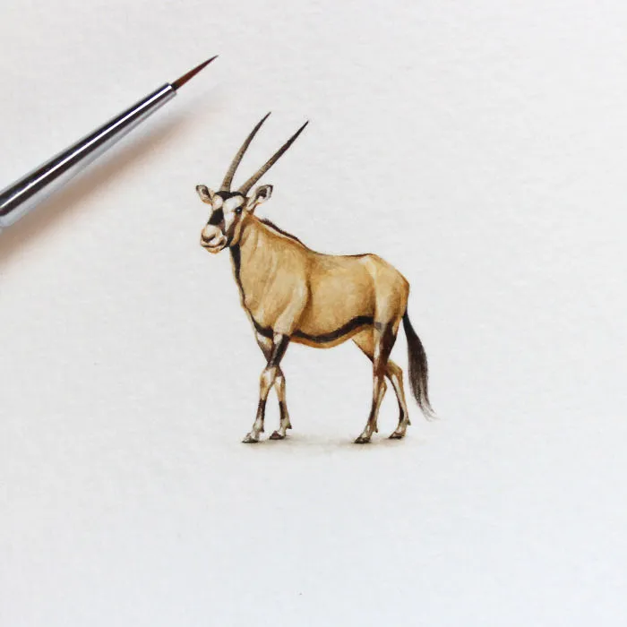 Empecé a hacer pinturas en miniatura porque no tenía tiempo para hacerlas más grandes, y ahora son mi pasión