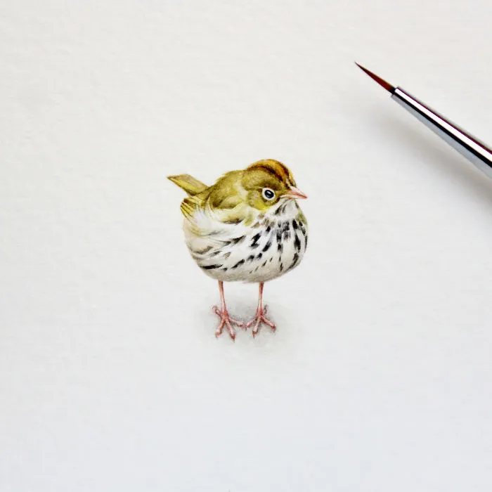 I Started Drawing Miniature Paintings Because I Did Not Have Time For Bigger Drawings And Now It's My Passion