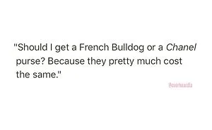 50 Hilarious Conversations That People Overheard in L.A. And Decided They Were Too Good Not To Share