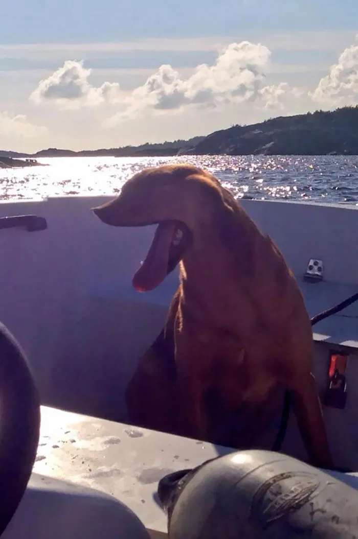 Panorama Fail