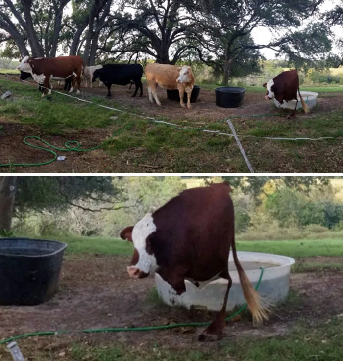 My First Try At A Panoramic Picture. Didn't Work To Well