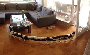 265 Times People Tried To Make A Panorama And Ended Up Opening The Gates Of Hell