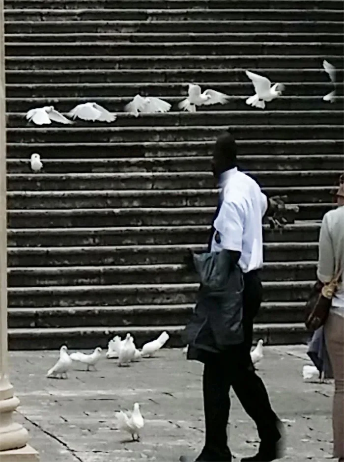 Was Taking A Panorama Photo With My Mobile Phone And I Captured A Bird Flying In Sequence