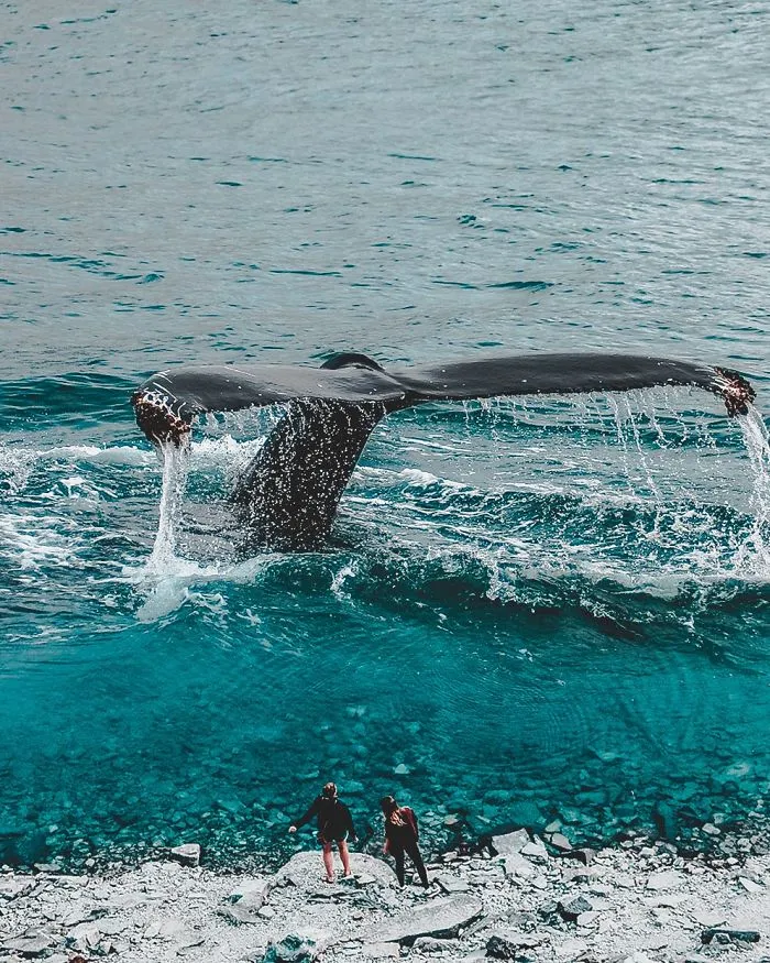 I'm A 16-Year-Old Artist Creating Blue Digital Artworks That Will Relax You