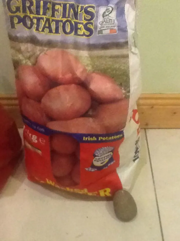 Alguien confundió una piedra con una patata y la metio en este saco de patatas