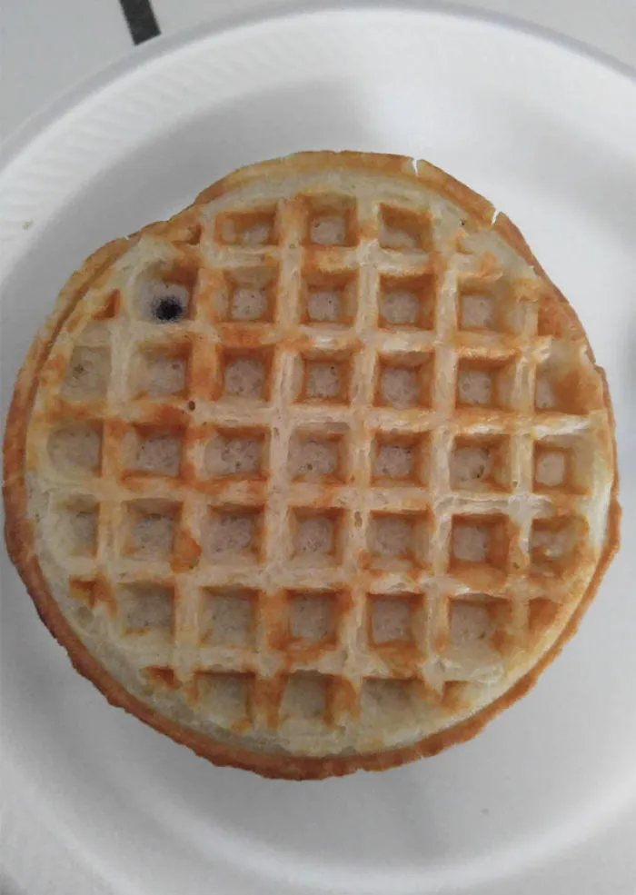This Blueberry Waffle