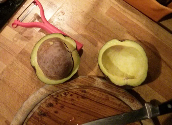 Planeaba cenar aguacate