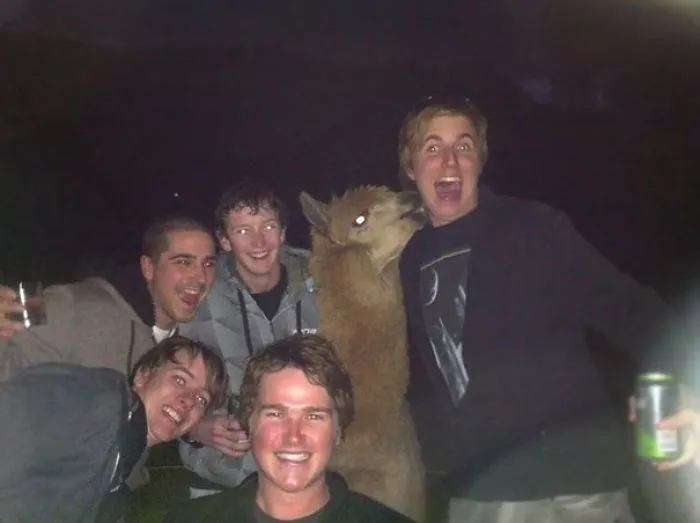 Mis Amigos Y Yo Nos Emborrachamos Una Noche En Un Pequeño Pueblo Campestre. La Mañana Siguiente Me Desperté Con Esta Foto En Mi Teléfono