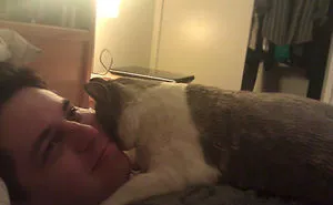 50 Of The Funniest I Woke Up To This" Moments That Have Ever Happened To Pet Owners"