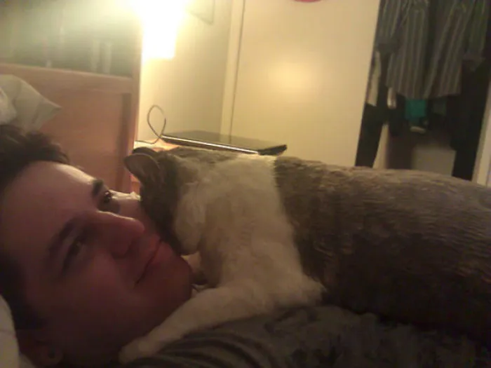 I Never Let My Cat On My Bed Because He Would Shed All Over. I Finally Got Him Shaved And Woke Up To This At 4 Am