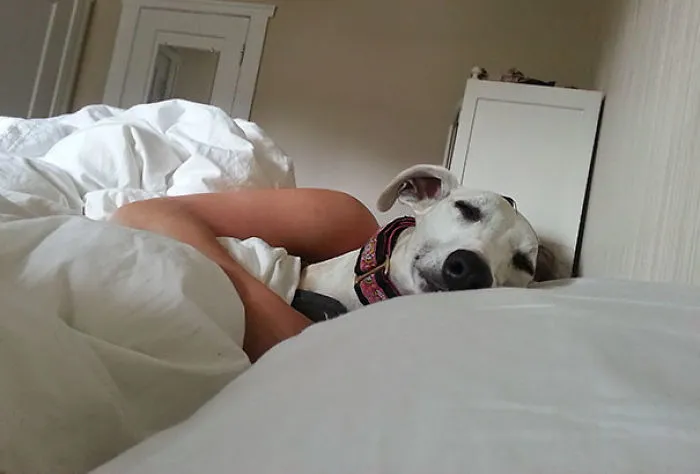 Double Take Upon Waking This Morning