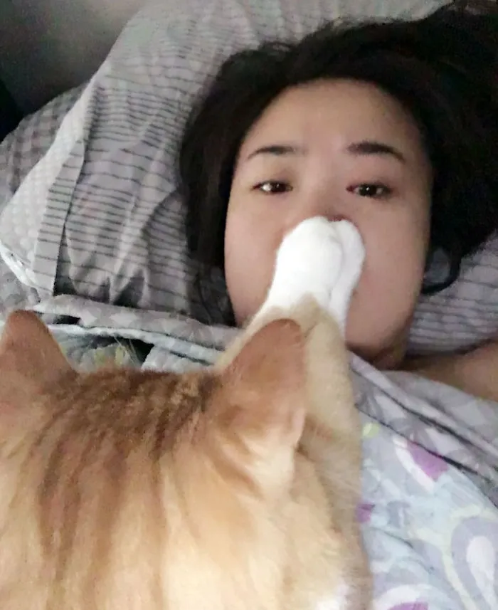 Cuando te despiertas porque tu gato intenta darte el sueño eterno