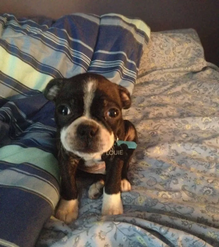 This Is The "Good Morning" Face That We Get To Wake Up To