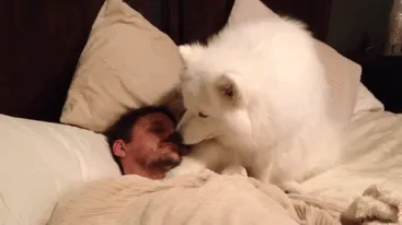 Hey, You Awake? Wake Up, I'm Hungry