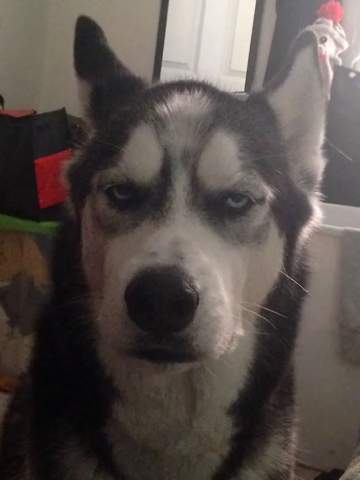 Woke Up To This Face