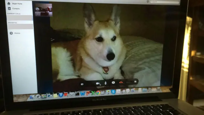 Nos dejamos skype abierto, y esta mañana al despertar esto es lo que había