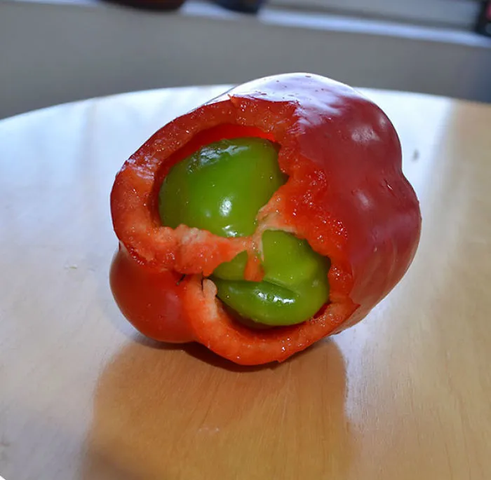 Pimiento verde creciendo dentro de uno rojo