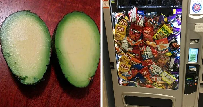 50 Times People Absolutely Won The Food Lottery
