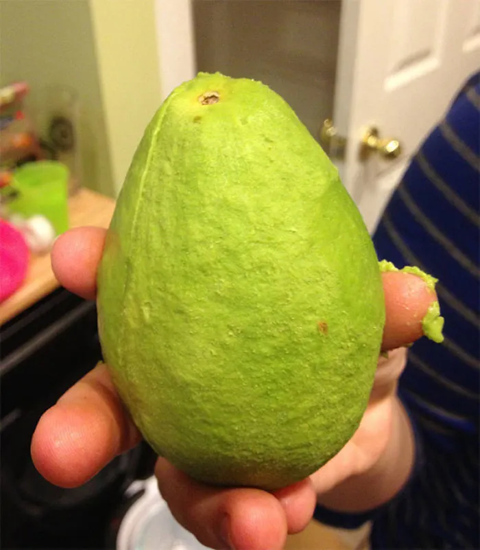 My Wife Perfectly Peeled This Avocado