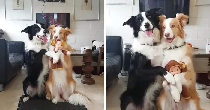 Get Ready For Family Picture Guys!