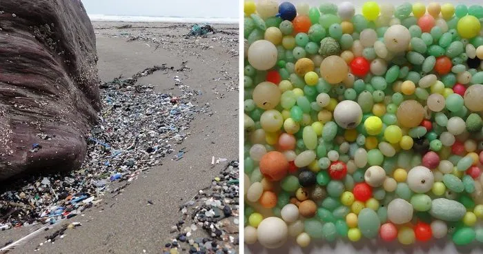 Guy Collects 35 Bags Of Microplastics On The Beach In Just One Day, Turns It Into Art