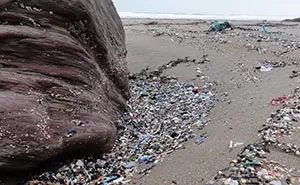 Guy Collects 35 Bags Of Microplastics On The Beach In Just One Day, Turns It Into Art