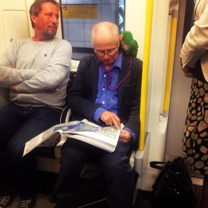 Parrot Guy