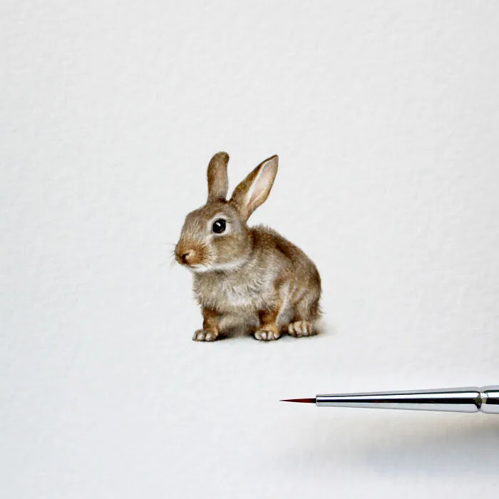 I Started Drawing Miniature Paintings Because I Did Not Have Time For Bigger Drawings And Now It's My Passion