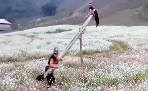 Awesome Swings In Vietnam