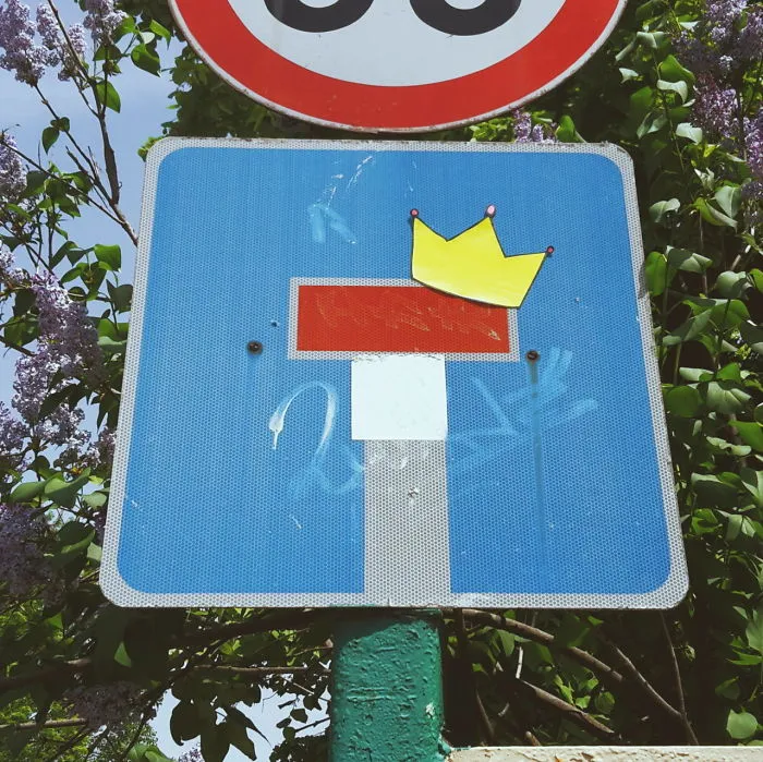 If You Like It Then You Should Put A Crown On It