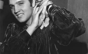 Elvis Presley And The Animals. A Very Sweet Tribute To The 40 Years Of His Death.