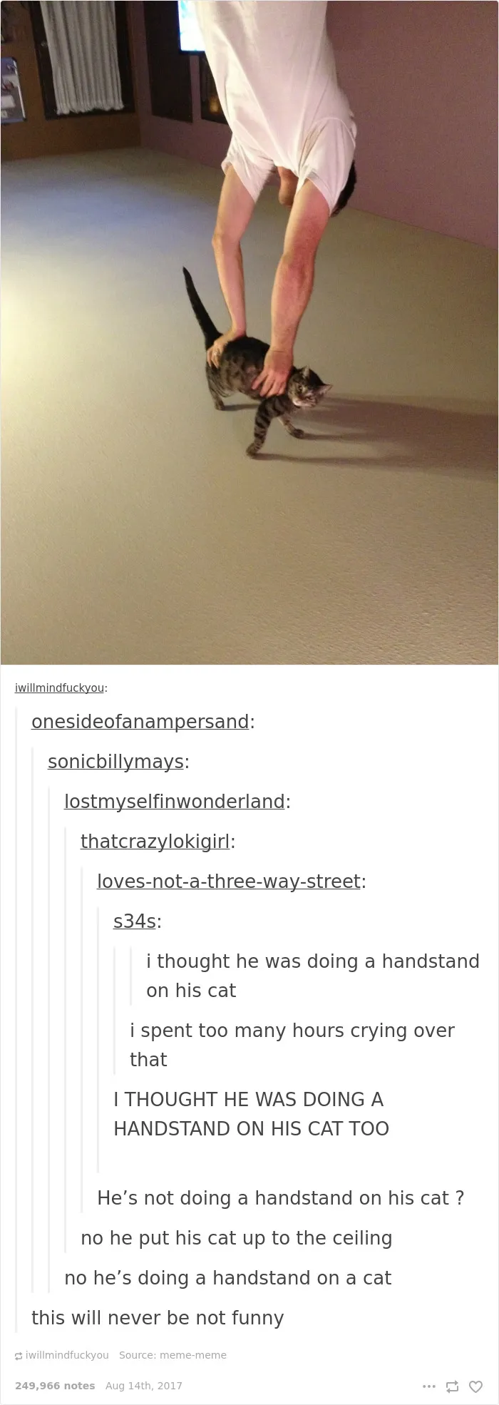 136 Cat Posts On Tumblr That Are Impossible Not To Laugh At