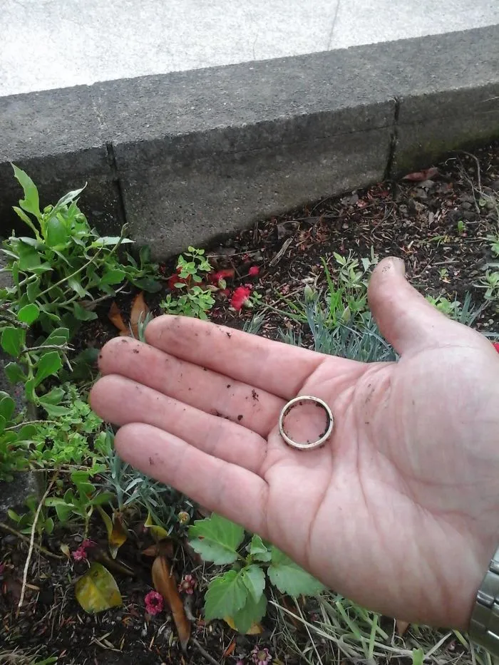 Found My Wedding Ring Tonight. In The Garden. 2 Years After I Lost It