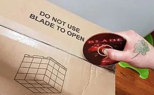 241 First-World Anarchists Who Don’t Give A Damn About Your Rules