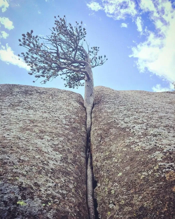 La vida se abre camino 3