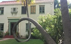 84 Badass Trees That Refuse To Die No Matter What