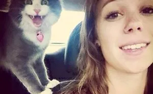 68 Times Cats Didn’t Want To Be In Your Stupid Selfies And The Result Was Hilarious