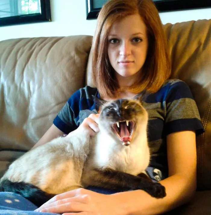 My Cat Loves The Camera