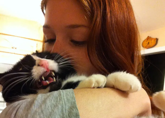 My Kitty Cat Loves Kisses