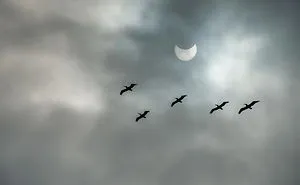39 Of The Best Shots Of The 2017 Solar Eclipse
