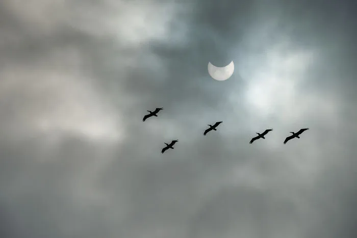 Solar Eclipse 2017